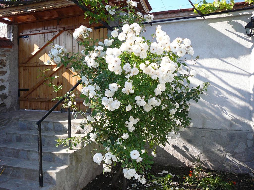 Guesthouse Argacho Stob Exterior photo